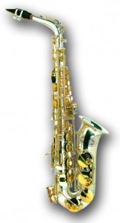 Sebastian SAS-529SG -  