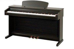 ALINA PRO EP-30D - 88 ,  