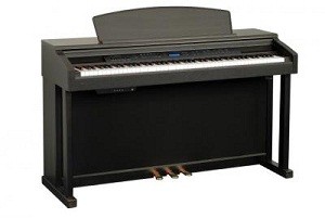 ALINA PRO EP-50D - 88 ,  , 30 , 