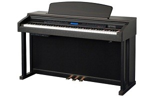 ALINA PRO EP-120 - 88 ,  , 128 GM 
