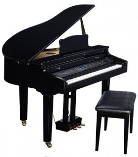 ALINA PRO DGP-100 -  