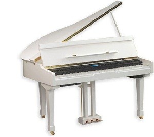 ALINA PRO DGP-120 -  