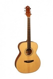 FLIGHT AG-210 NA -  