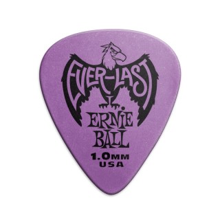 ERNIE BALL 9193 -  Everlast  , 1,0 , ,  12 .