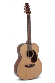 APPLAUSE AAO96-4OM Natural Gloss  