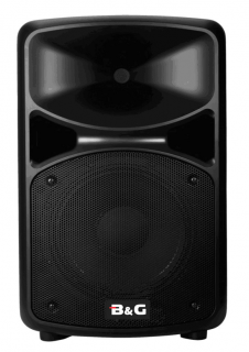 B&G THY-15DE -   , 250 RMS