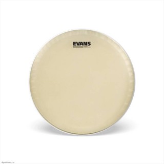 EVANS CS14SS     