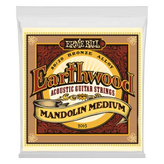 ERNIE BALL 2065 -   