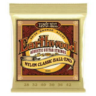 ERNIE BALL 2069 -    