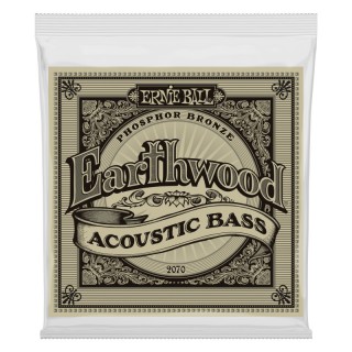 ERNIE BALL 2070 -    -
