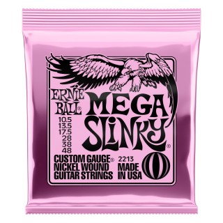 ERNIE BALL 2213 -   