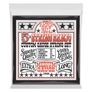 ERNIE BALL 2309 -   5-. Stainless Steel Medium (10-13-15-24w-10)