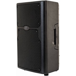 PEAVEY PVXp 12 Bluetooth    ,   980 