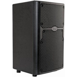 PEAVEY PVXp 10 Bluetooth    ,   520 