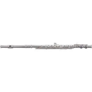 ROY BENSON FL-602RE - 