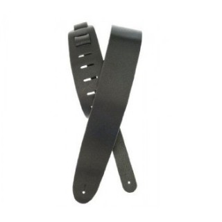 PLANET WAVES 25BL00  , ,  