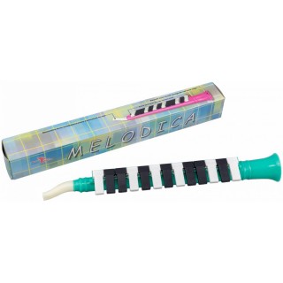 SWAN SW13J-GR -   , 13 ,  