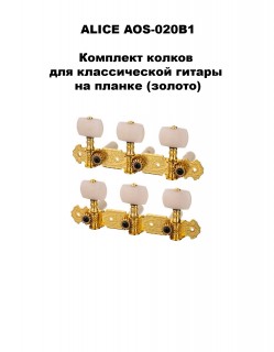 ALICE AOS-020B1P -        ()