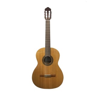 PEREZ 610 Cedar LTD 2019-  