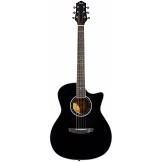 FLIGHT AG-210C BK -    ,  ,    