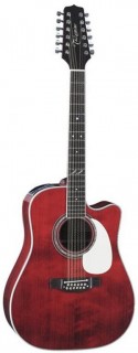 TAKAMINE JJ325SRC-12 -  12-   