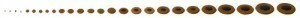 GEWA 730766 -    -