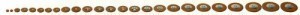 Pisoni 730824 -    -