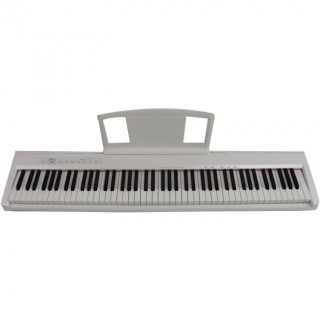 ARAMIUS APS-110 WH -   