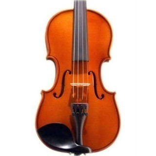 Karl Hofner AS-060-VA 15,5  - 