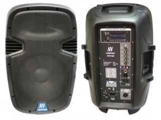 AudioVoice AP212D - 2-   , 12", 120 
