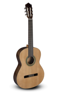 P.Castillo 201Matt -   6-