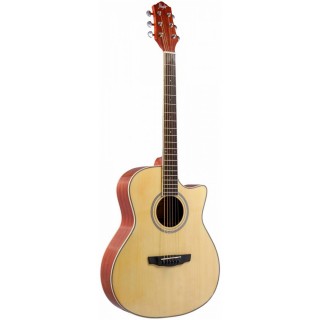 FLIGHT AG-210C NA -  ,  ,    