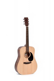 Ditson D-10 -  