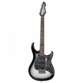 PEAVEY Raptor Custom SLB ,  22 