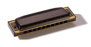 HOHNER Pro Harp 562/20 MS B (M564126) -  