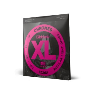 D ADDARIO ECB-81 -   -