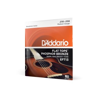 D ADDARIO EFT-13 -    