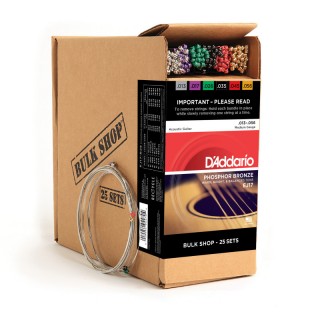 D ADDARIO EJ17-B25 - 25     