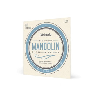 D ADDARIO EJ73 -   ,
