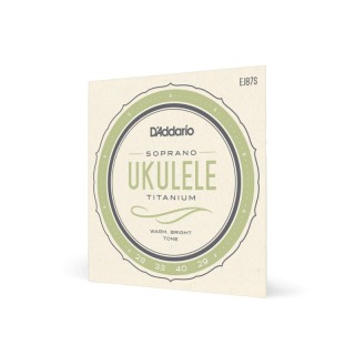 D'ADDARIO EJ87S    ,  Titanium