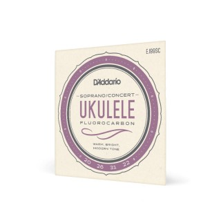 D ADDARIO EJ99SC    /