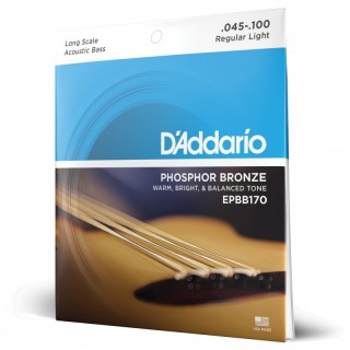 D ADDARIO EPBB-170 - C  -