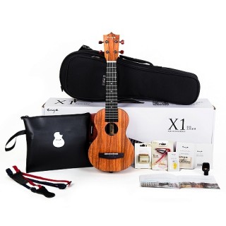 Enya EUC-X1 - 