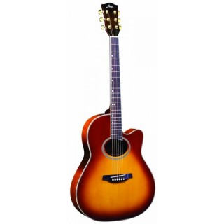 Fina Guitars FA-668CTY -  