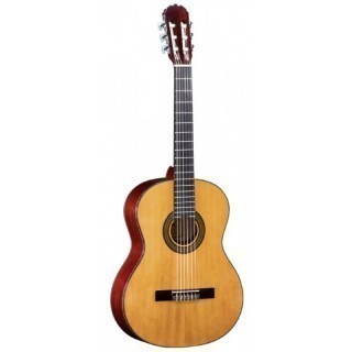 Fina Guitars FC-603 -  