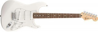 FENDER STANDARD STRATOCASTER RW ARCTIC WHITE TINT - 
