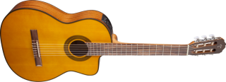 TAKAMINE G SERIES CLASSICAL GC1-CE NAT -   
