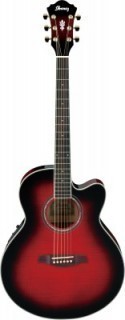 IBANEZ AEL20E-TRS -  
