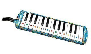 HOHNER Airboard Junior 25 -   25 