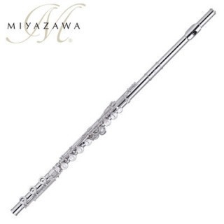 MIYAZAWA MJ-100E -  C